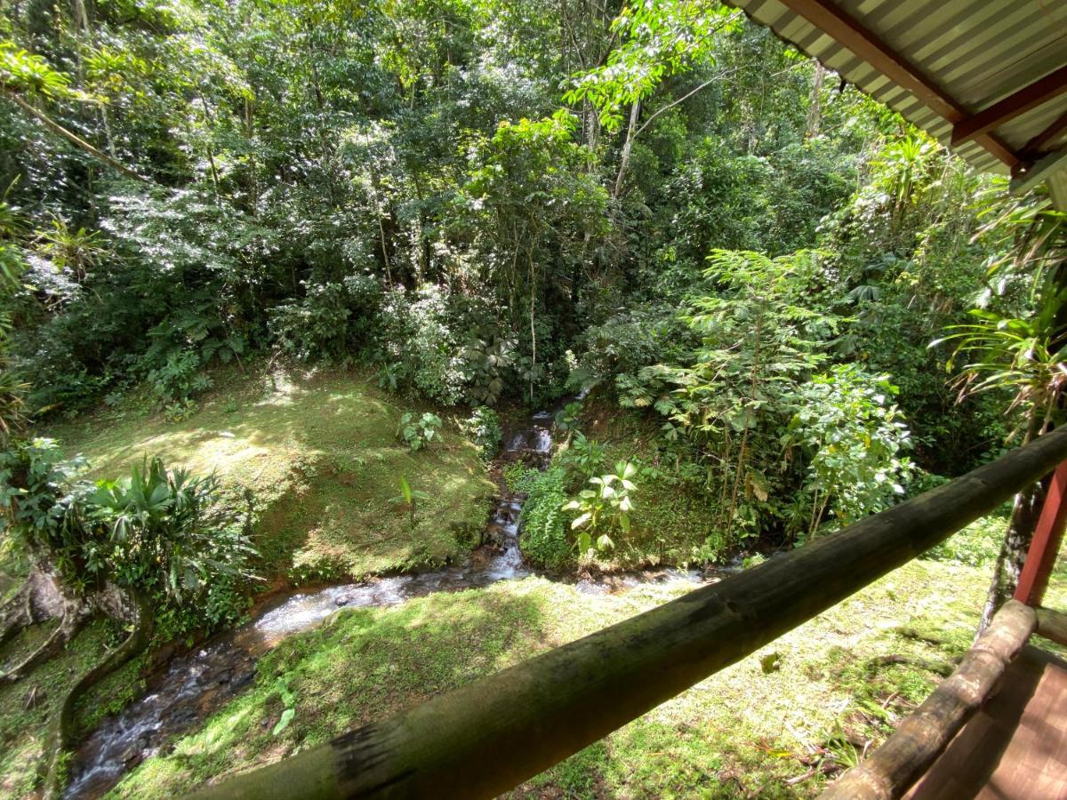 Esquipulas Rainforest Quepos Luaran gambar