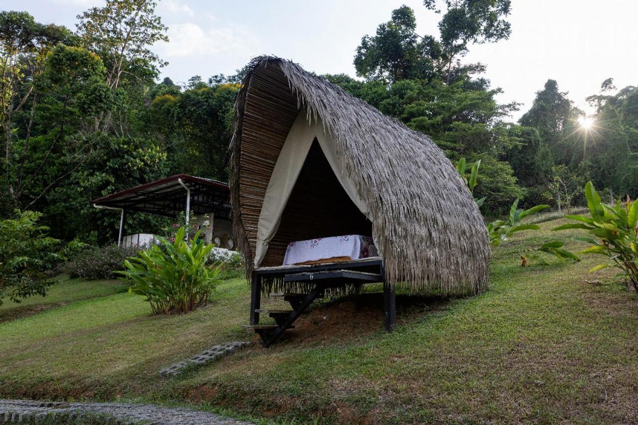 Esquipulas Rainforest Quepos Luaran gambar